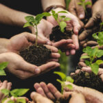 ‘Coltiviamo agricoltura sociale’