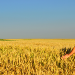 GIOVANI E AGRICOLTURA