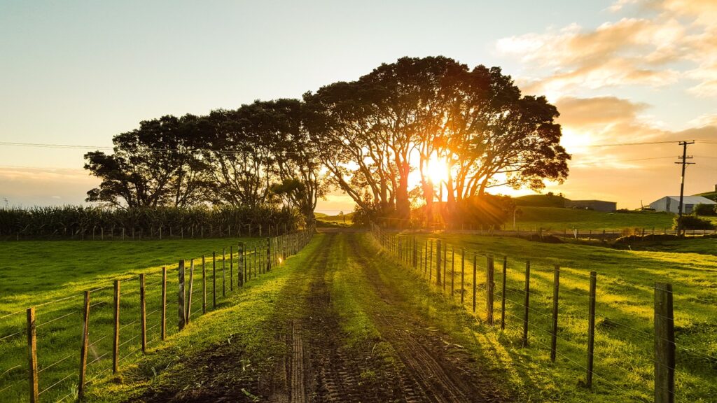 Regione Abruzzo, bando per investimenti non produttivi agricoli con finalità ambientali: definite le date dello sportello