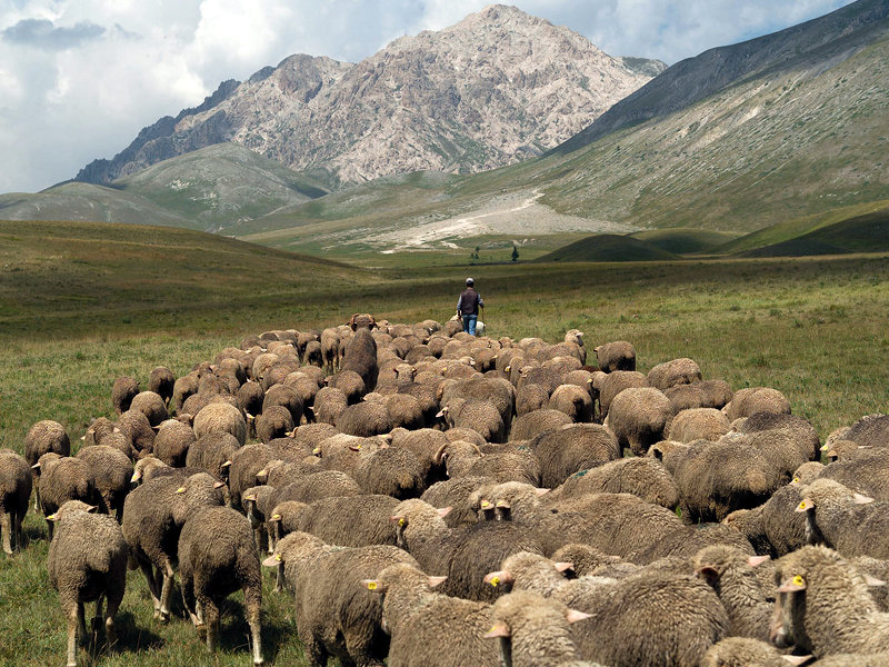 Bando regionale di sostegno alle zone con svantaggi naturali montagna