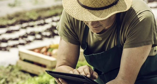 Bando per azioni di informazione sulla politica agricola europea