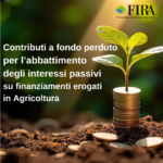 FiRA: pubblicato secondo bando per aziende agricole danneggiate da eccesso di pioggia e peronospora