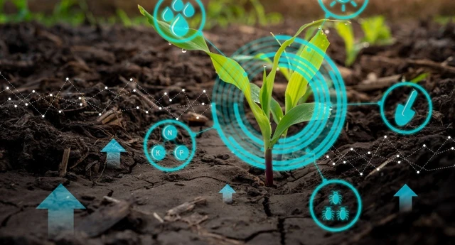 Aiuti in Agricoltura: contributi a fondo perduto dal 15 novembre