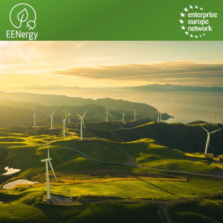 Al via EENergy, il bando di contributi per il risparmio energetico nelle PMI