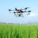 Cooperazione per azione di supporto all’innovazione e servizi rivolti ai settori agricolo, forestale e agroalimentare
