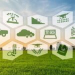Bando regionale per il supporto all’innovazione per il settore agricolo, forestale e agroalimentare, scadenza prorogata a febbraio