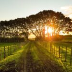 👉 Regione Abruzzo, bando per investimenti non produttivi agricoli con finalità ambientali: domande dal 14 gennaio