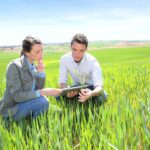 FONTI FIRA:Bando regionale per servizi di consulenza alle imprese agricole, ecco le date di apertura sportello
