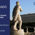 FONTI FIRA:Opportunità di tirocinio presso le Sedi del Ministero degli Affari Esteri e della Cooperazione Internazionale