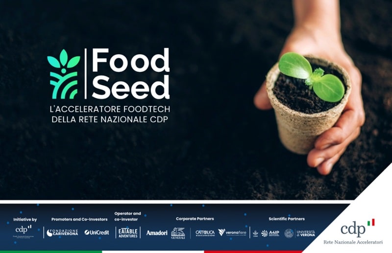 FONTI FIRA: FoodSeed: via alla nuova call per startup del food tech dell’acceleratore di CDP Venture Capital