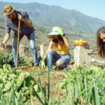 FONTI FIRA:Agricoltura, prorogato il bando regionale per l’insediamento di giovani agricoltori