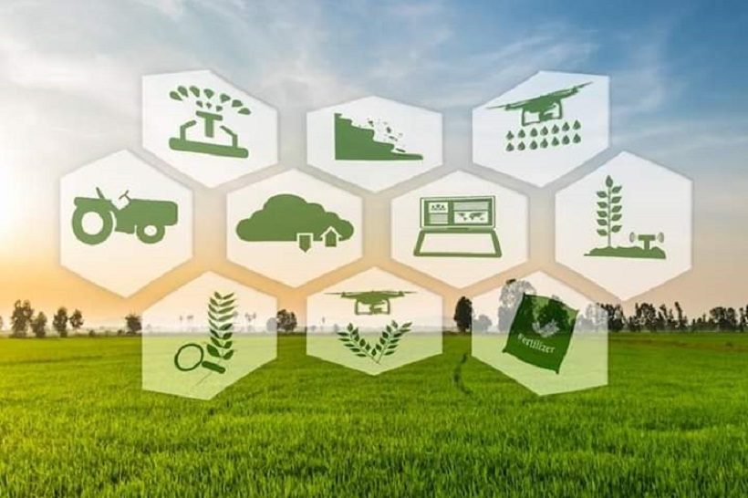 FONTI FIRA:Bando regionale per il supporto all’innovazione per il settore agricolo, forestale e agroalimentare, scadenza prorogata a marzo