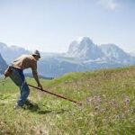 FONTI FIRA:Regione Abruzzo, bando Pagamenti compensativi per le zone montane