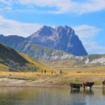 FONTI FIRA:Sostegno alle zone con svantaggi naturali montagna, bando revocato