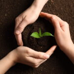 FONTI FIRA:Intesa Masaf-Crédit Agricole: 3mld di euro a sostegno dell’agroalimentare italiano