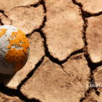 FONTE FIRA: Cambiamenti climatici, bando per promuovere azioni dirette al coinvolgimento della società civile