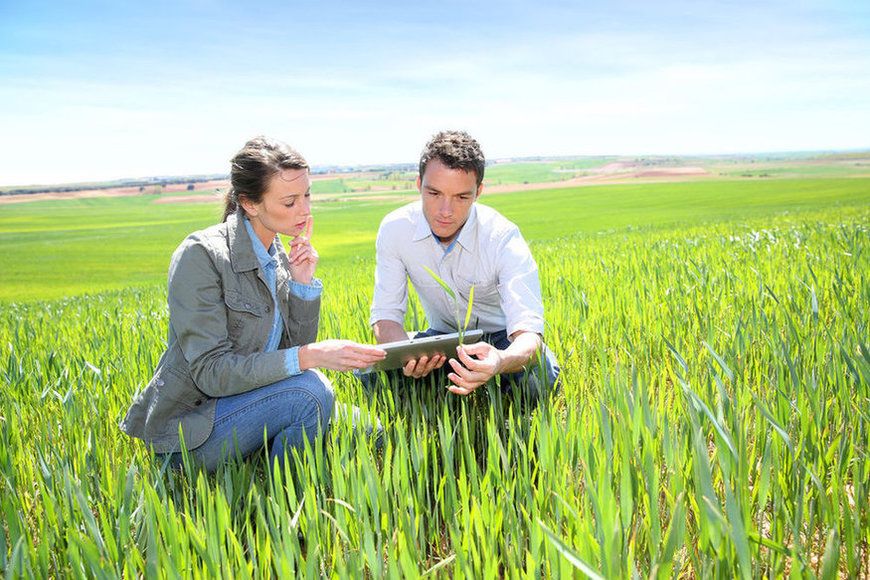 FONTI FIRA: In scadenza a fine maggio il bando regionale per servizi di consulenza alle imprese agricole
