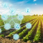 FONTI FIRA:Fondo innovazione in agricoltura, altri 47 milioni a disposizione