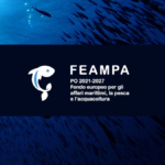 fonti fira: FEAMPA, Avviso Azione 3 – Investimenti a bordo e nei porti per incrementare la qualità delle produzioni