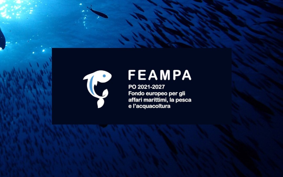 fonti fira: FEAMPA, Avviso Azione 3 – Investimenti a bordo e nei porti per incrementare la qualità delle produzioni