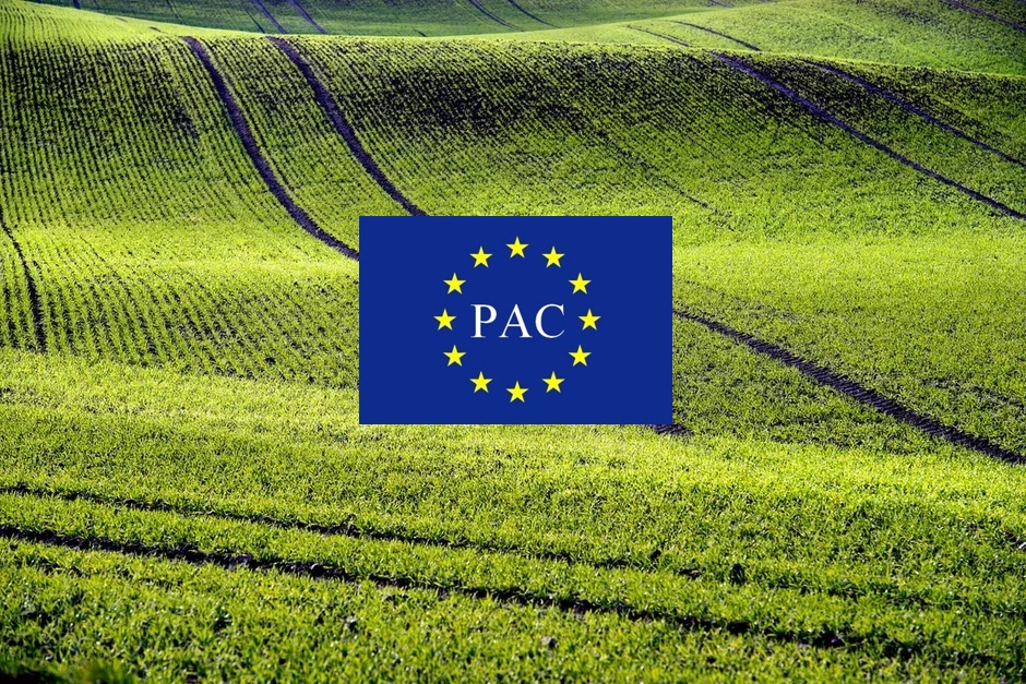 FONTI FIRA: Manifestazioni interesse iniziativa “Connessioni rurali – Open farms, dal laboratorio al campo”