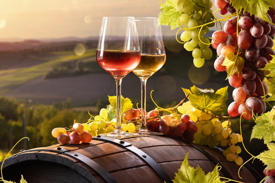 FONTI FIRA: OCM Vino, al via le domande per la promozione nei Paesi Terzi, campagna 2025/2026