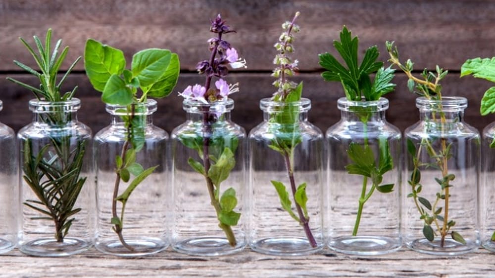 FONTI FIRA: Fondo per lo sviluppo delle colture di piante aromatiche e officinali biologiche, contributi per progetti di ricerca