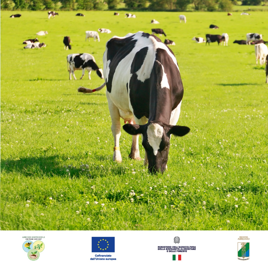 FONTI FIRA:Bando SRD 02 “Investimenti produttivi agricoli per ambiente, clima e benessere animale”: oltre al contributo a fondo perduto c’è il prestito a tasso 0 erogato da FiRA