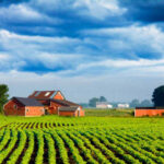 FONTI FIRA:Al via il bando da 15mln di euro per gli investimenti delle aziende agricole abruzzesi