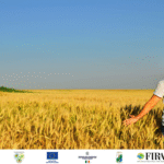 FONTI FIRA:Bando SRD01 ‘Investimenti produttivi per la competitività delle aziende agricole’: contributi a fondo perduto e prestito a tasso 0 erogato da FIRA