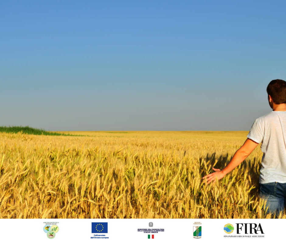 FONTI FIRA:Bando SRD01 ‘Investimenti produttivi per la competitività delle aziende agricole’: contributi a fondo perduto e prestito a tasso 0 erogato da FIRA