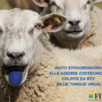 FONTI FIRA:Blue tongue, pubblicato il bando regionale da 400mila euro a sostegno del comparto ovicaprino. Fira Soggetto gestore della Misura