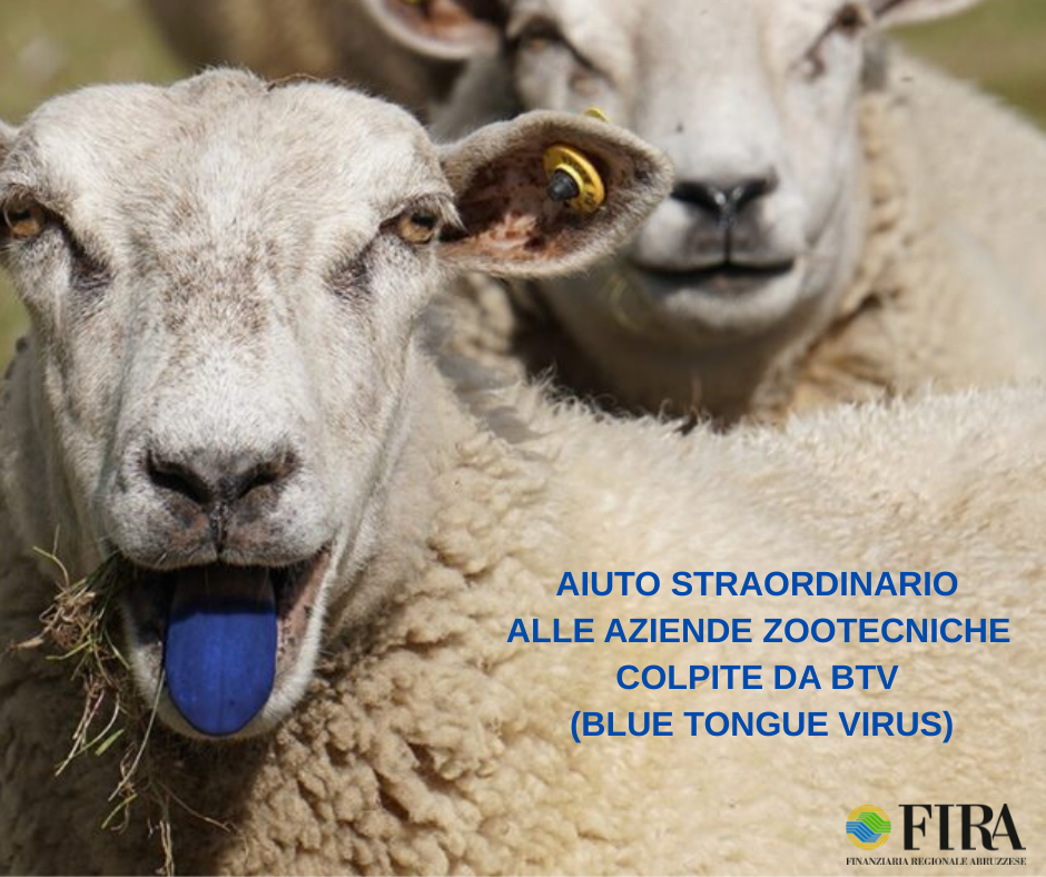 FONTI FIRA:Blue tongue, pubblicato il bando regionale da 400mila euro a sostegno del comparto ovicaprino. Fira Soggetto gestore della Misura