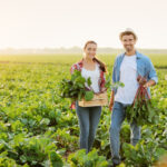 FONTI FIRA:In scadenza a febbraio il bando SRD01 ‘Investimenti produttivi per la competitività delle aziende agricole’. C’è anche il prestito a tasso 0 erogato da FIRA