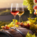 FONTI FIRA:OCM Vino, AGEA pubblica le istruzioni operative per l&rsquo;intervento Investimenti 2026-2027