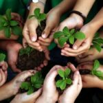 FONTI FIRA:MASE, Avviso per presentare proposte di iniziative in materia di educazione ambientale