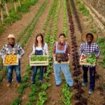 FONTI FIRA:Agricoltura, approvata legge regionale su agricoltura sociale e manovra di bilancio da 5,2 milioni per il settore primario