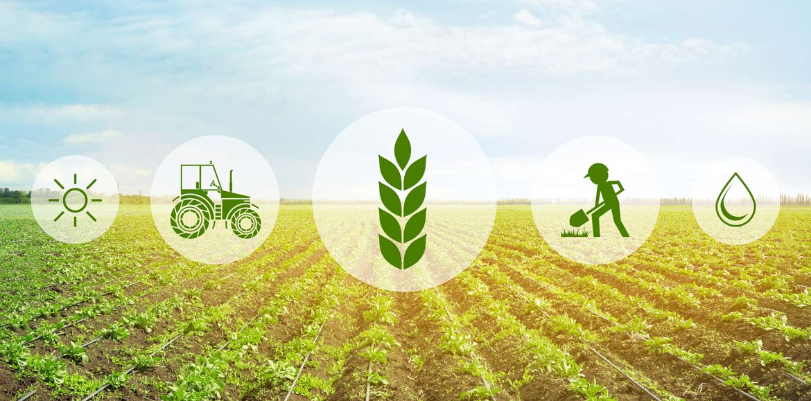 FONTE FIRA:Intervento SRH03 – Formazione imprenditori agricoli, al via l’Avviso 2026 per gli Organismi di formazione