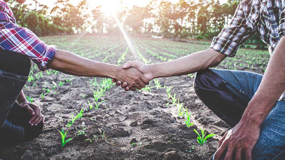 FONTI FIRA: Ricerca, dal MUR 21 milioni per rafforzare cooperazione scientifica, sicurezza idrica e innovazione agroalimentare nel Mediterraneo