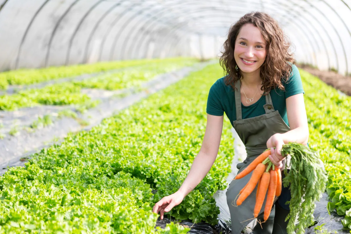 FONTI FIRA: Domande fino al 19 giugno per “Generazione Terra”, il bando ISMEA da 120 milioni per i giovani agricoltori