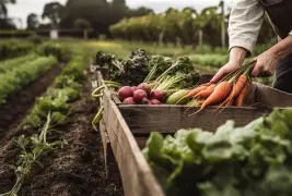 👉 Agricoltura : dalla Regione oltre 2 milioni per incentivare agriturismi, agricoltura sociale e fattorie didattiche